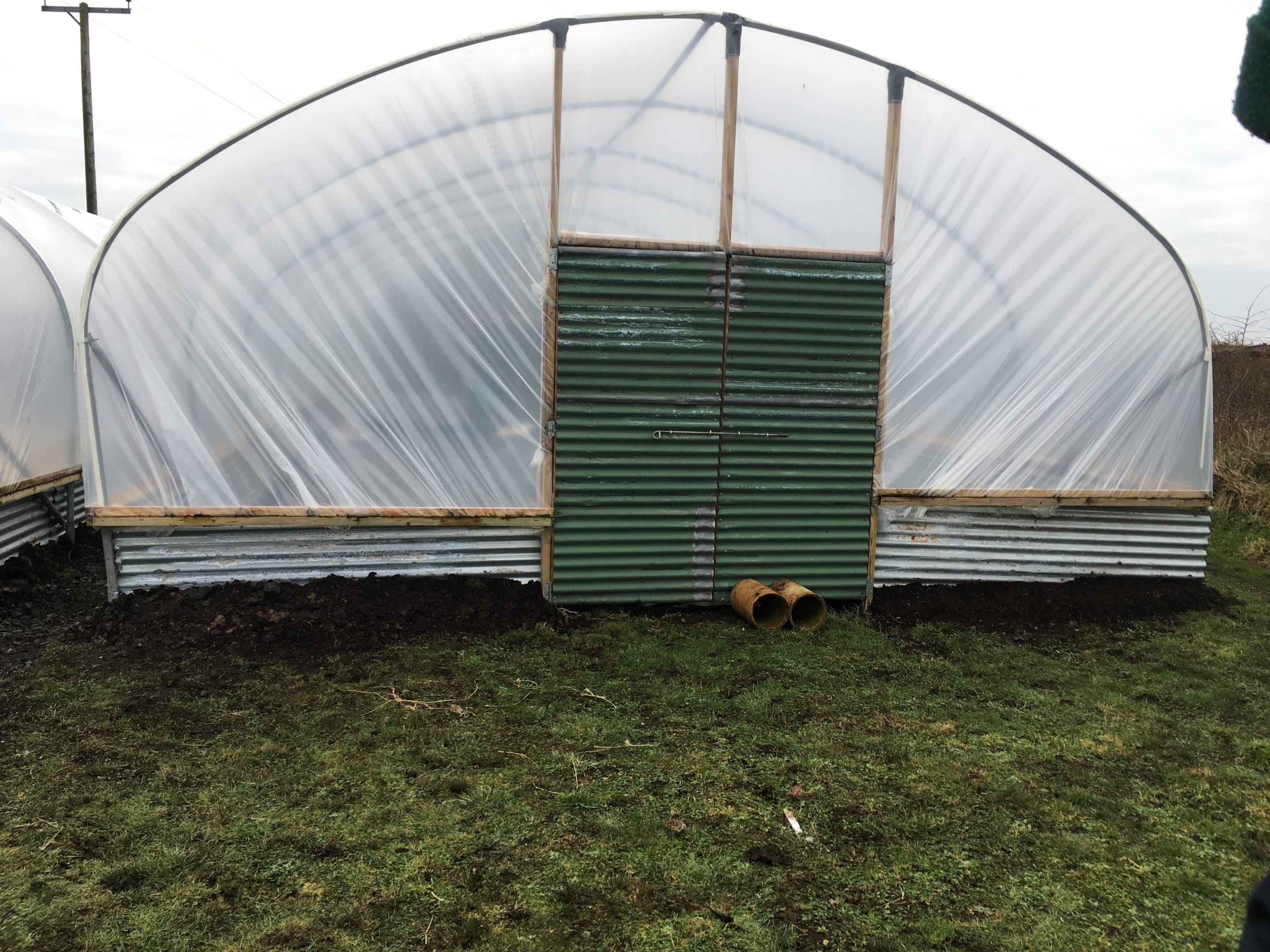 polytunnel project
