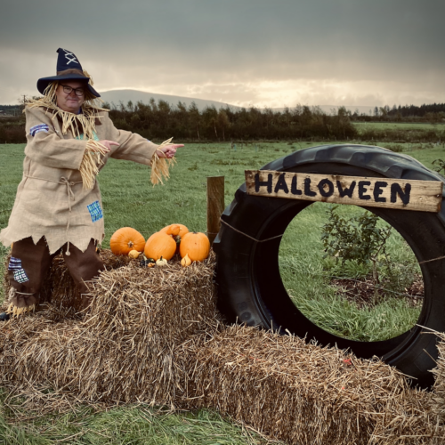 halloween pumpkin picking event northern ireland antrim ballycastle broughgammon