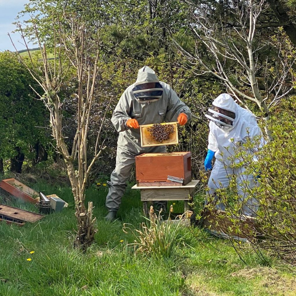 Kids club bee keeping