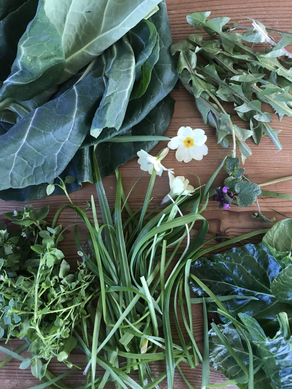 Spring foraging