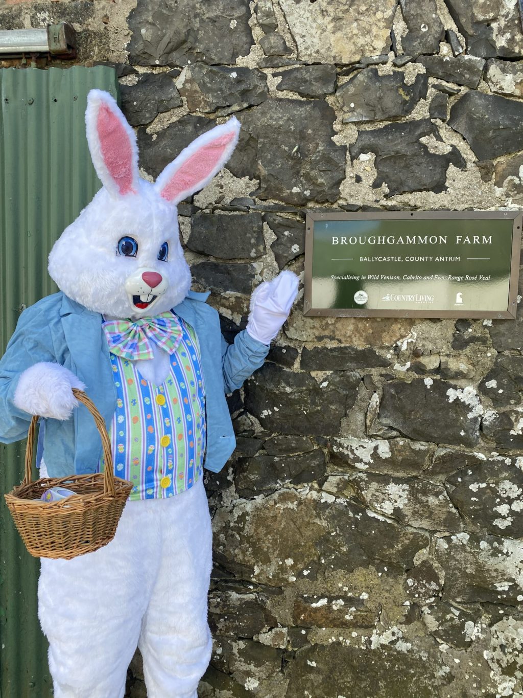 easter event ballycastle antrim bushmills